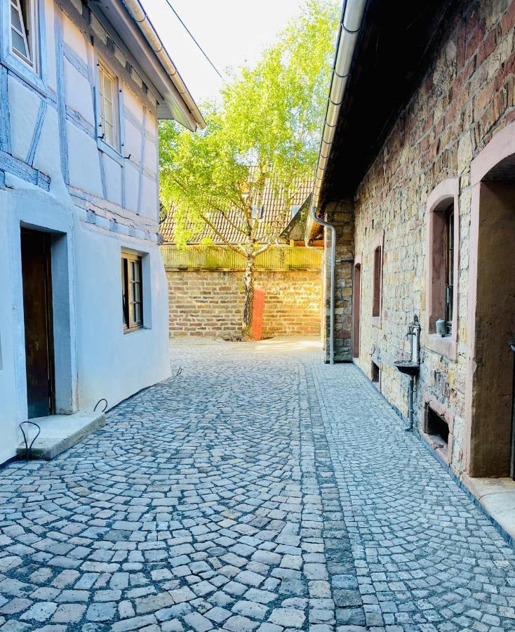 Vintner Suites Neustadt an der Weinstraße Exteriér fotografie