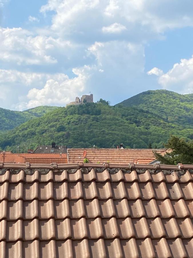 Vintner Suites Neustadt an der Weinstraße Exteriér fotografie